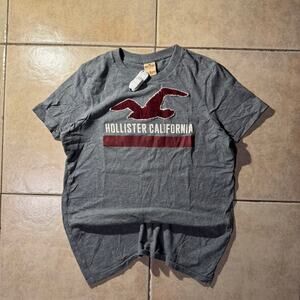Gray Hollister Co y2k vintage t shirt size s in womens